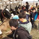 아사달목장 이미지