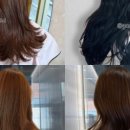 구아르헤어 이미지