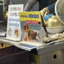 강릉 중앙시장 오징어순대나라 후기｜누룽지오징어순대 웨이팅 꿀팁