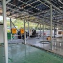 평안 태양광발전소 이미지