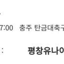 완주군 공설운동장 축구장 네이버블로그