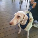 검단산로 이미지