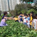 한결어린이집 이미지