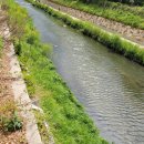 목화세차장 이미지