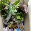 행주농장 이미지