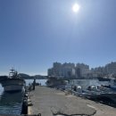 부산초장 이미지