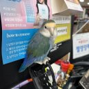 태양네일센타 이미지