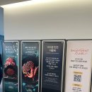 (주)씨젠 | [동대문구/장안동] 애슐리퀸즈 장안점 방문 후기