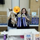 랙돌캐터리 | 2025년 5월 31일 Treasure Coast Cat Club CFA 캣쇼 후기 [랙돌캐터리 바비돌]