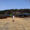 라엘동물의료센터 이미지