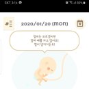 하이베베 이미지