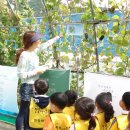 코스모스 어린이집 이미지