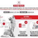 닥터코기동물병원 이미지