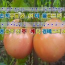 논밭에 이미지