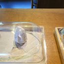 디앤유커피 이미지