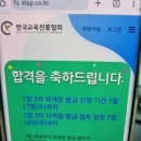 타로 심리상당 이미지