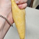 맛있는 홈베이킹 | 하쉬나베이킹 냉동생지로 간편한 마들렌만들기 홈베이킹 후기