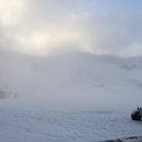 웰리힐리 스키장 이미지