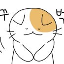 에쎕