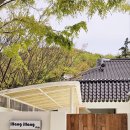 일랑일랑 이미지