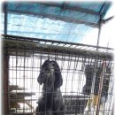 성헌농장 이미지