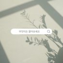 영솔루션 - 포항시 남구 상대로 126-5 | 영솔루션