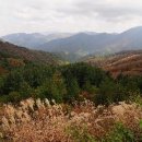 지리산뱀사골리움펜션 이미지