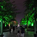 불꽃게임랜드 이미지