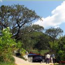 봉화터널주유소 이미지