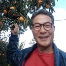 달봉이네 이미지