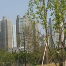 모산골 공원 이미지