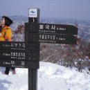 토함산 - 경주시 | 토함산