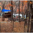 대운산자연휴양림 이미지