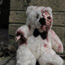 테디베어 이미지