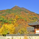 표충사 - 1903 | 표충사