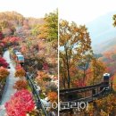 The 숲 요양원 이미지
