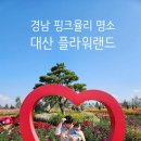동읍751 | 경남 핑크뮬리 명소 창원 대산 플라워랜드 부산근교 아기랑 가볼만한곳