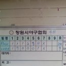 노니살살