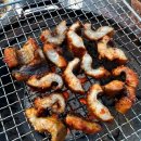 곰장어와아나고 이미지