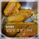 시골상점 | 호박고구마 2kg 3kg 5kg 10kg 농라에프 시골상점 고구마로 스프 만들기