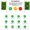주식회사 더그린테크놀로지 | 강아지미스트 추천! 노바셀테크놀로지 노바펫 수딩 미스트로 촉촉한 피부 관리