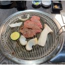 강릉한우금송아지