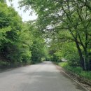 운기목장 네이버블로그