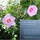 제일생활문화사