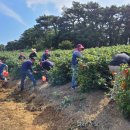 공음면사무소 이미지