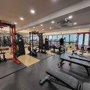 피티나인 이미지