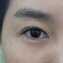 속눈썹펌 처음인데 인계동 베일리래쉬에서 쌩얼 자심감 만들어왔어요🌿 | 수원 인계 속눈썹펌 솔직 후기