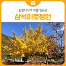 미로초등학교 | 삼척 미로정원, 은행나무가 아름다운 곳 | 삼척 가볼만한곳