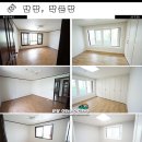 궁전인테리어 이미지