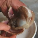 바다1번지 이미지